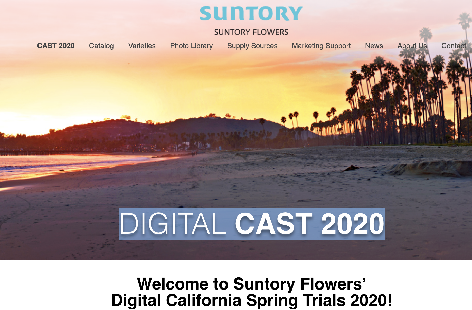 Suntory Digital Cast 2020
